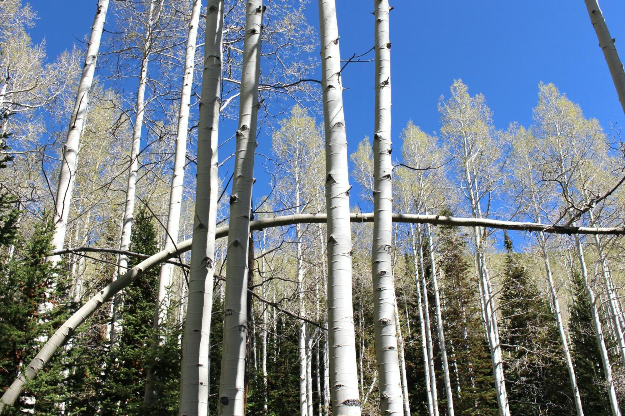 909 Park Ave Home Park City Zewnętrze zdjęcie